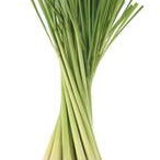Lemongrass